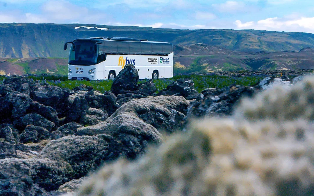 Bus Transfer: Keflavik International Airport (KEF) & Reykjavik BSI Terminal to/from Blue Lagoon Image 4