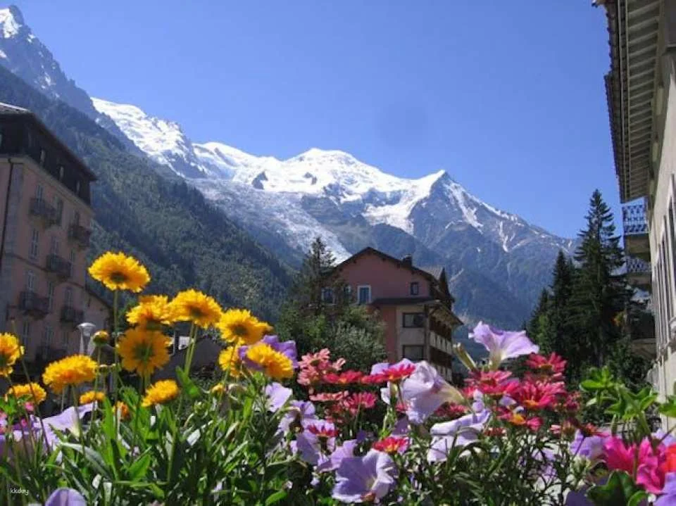 Bus trip to Chamonix Mont Blanc with cable car ride from Geneva
