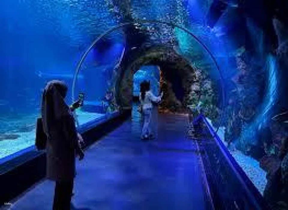 BXSea Aquarium & Edutainment Ticket | Banten, Indonesia