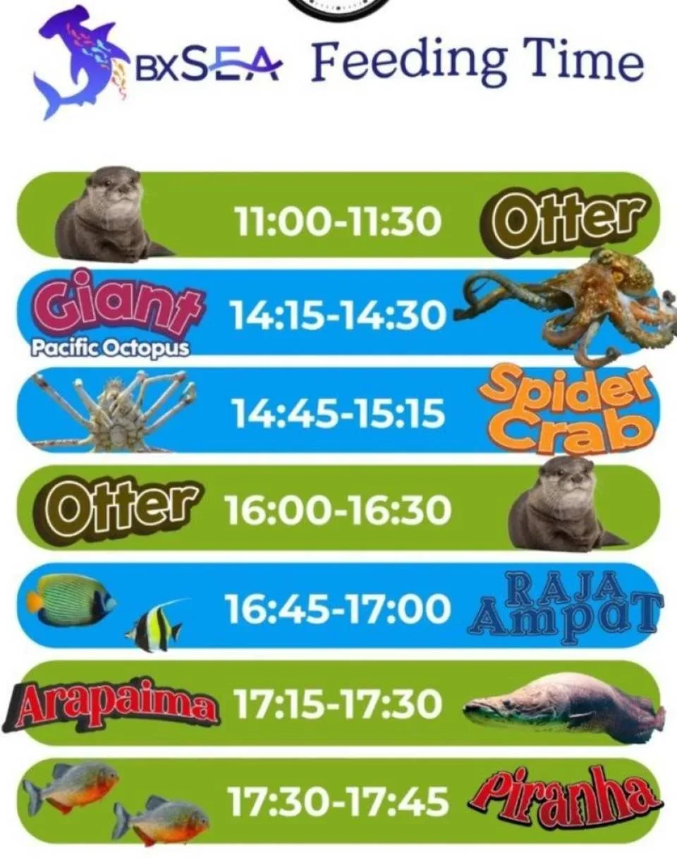 BXSea Aquarium & Edutainment Ticket | Banten, Indonesia