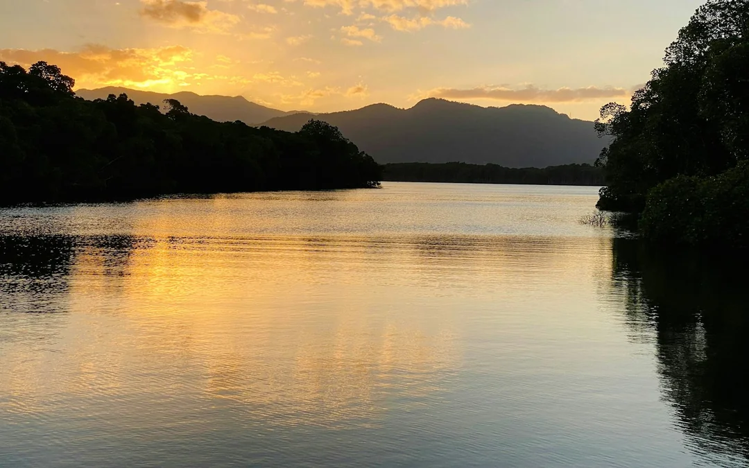 Cairns Trinity Inlet Sightseeing Cruise Image 3