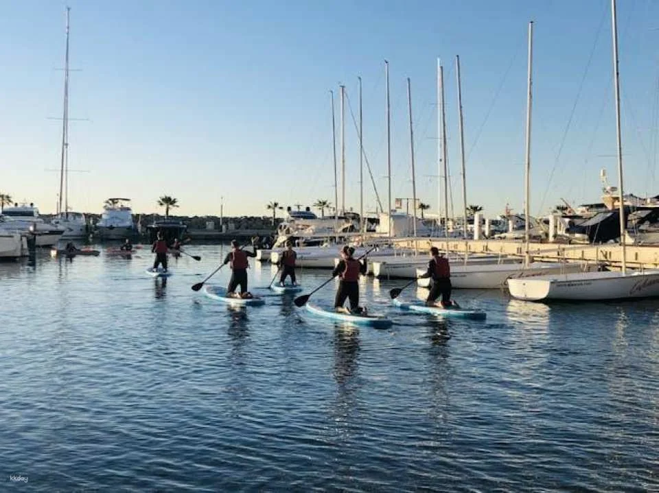 Calanova guided paddle surf excursion