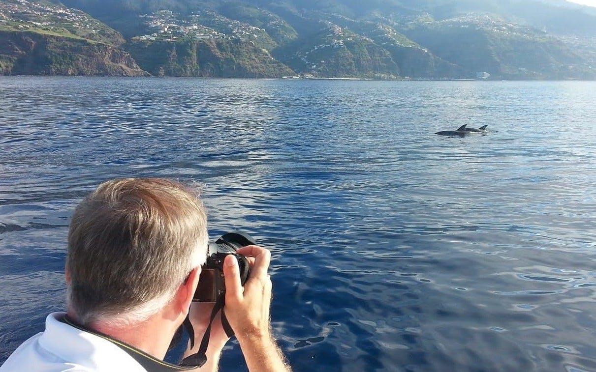 Calheta Private Luxury Yacht Dolphin & Whale Watching Image 5