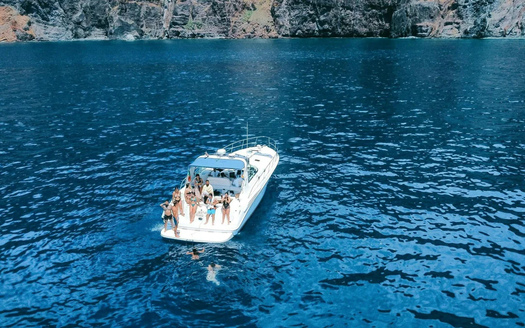 Calheta Shared Yacht Dolphin & Whale Watching Image 1