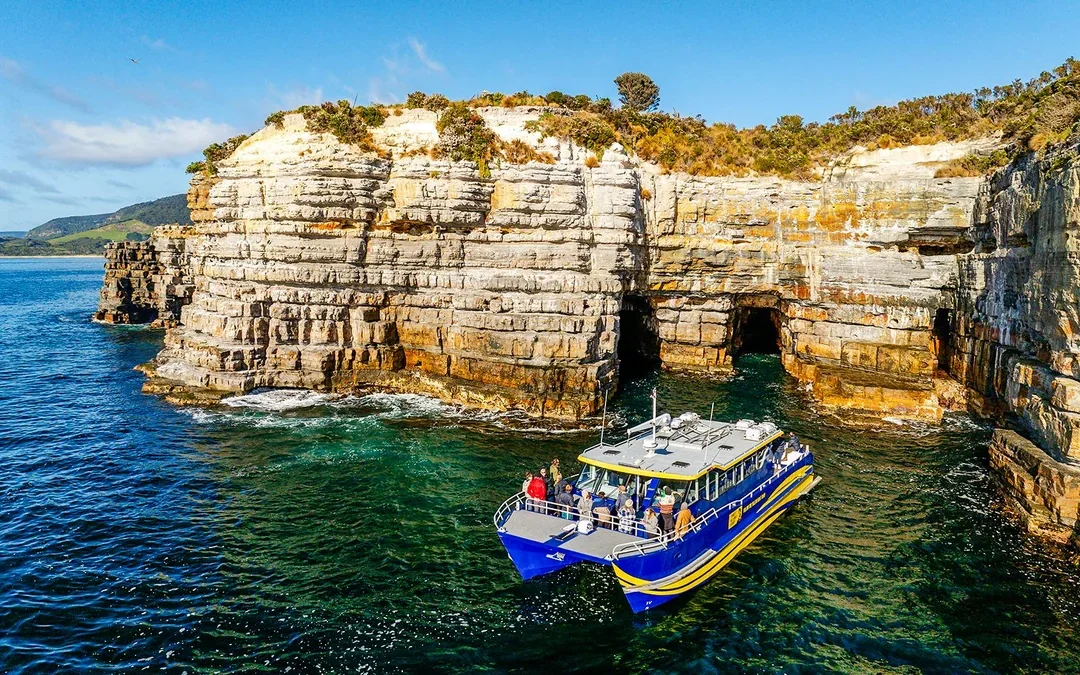 Cape Raoul Wilderness Cruise from Port Arthur Image 1