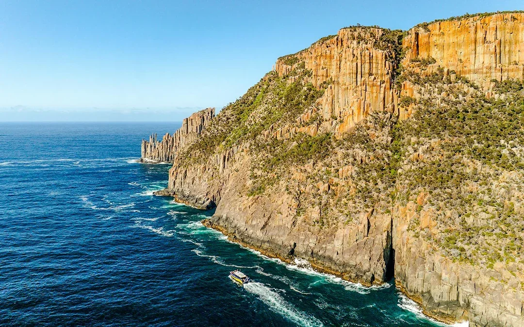 Cape Raoul Wilderness Cruise from Port Arthur Image 12