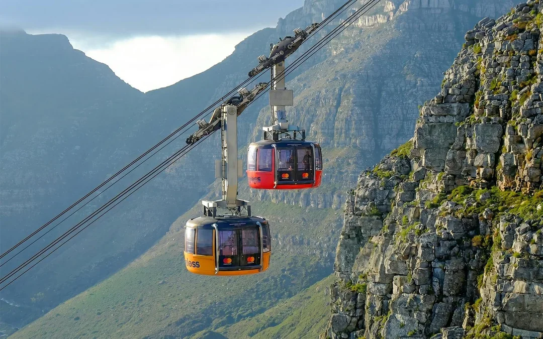 Cape Town: Full Day Peninsula Tour with Table Mountain, Cape Point and Penguins Image 2
