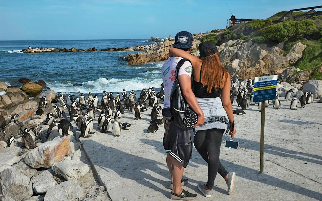 Cape Town: Full Day Peninsula Tour with Table Mountain, Cape Point and Penguins Image 4