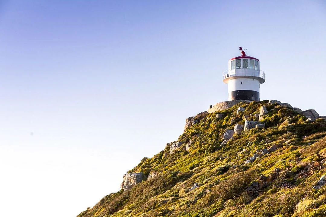Cape Town Guided Cape Peninsula Tour with Cape Point Nature Reserve and Cape of Good Hope Image 3