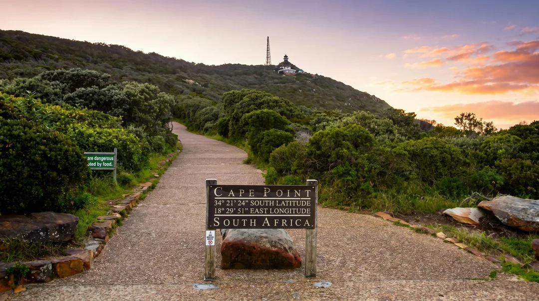 Cape Town Guided Cape Peninsula Tour with Cape Point Nature Reserve and Cape of Good Hope Image 5