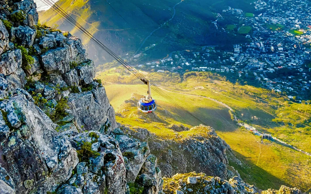 Cape Town: Private Full Day Tour with Table Mountain, Cape Point and City Highlights Image 2