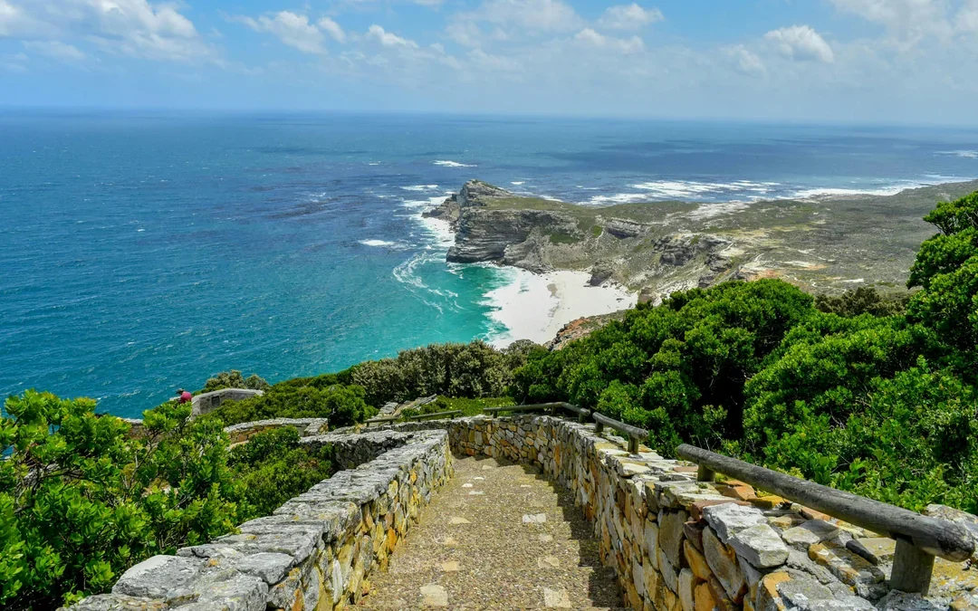 Cape Town: Private Full Day Tour with Table Mountain, Cape Point and City Highlights Image 4