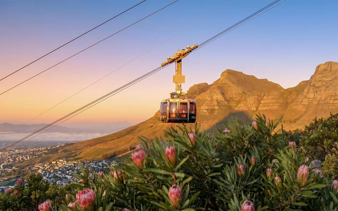 Cape Town: Table Mountain Cable Car Ticket Image 5