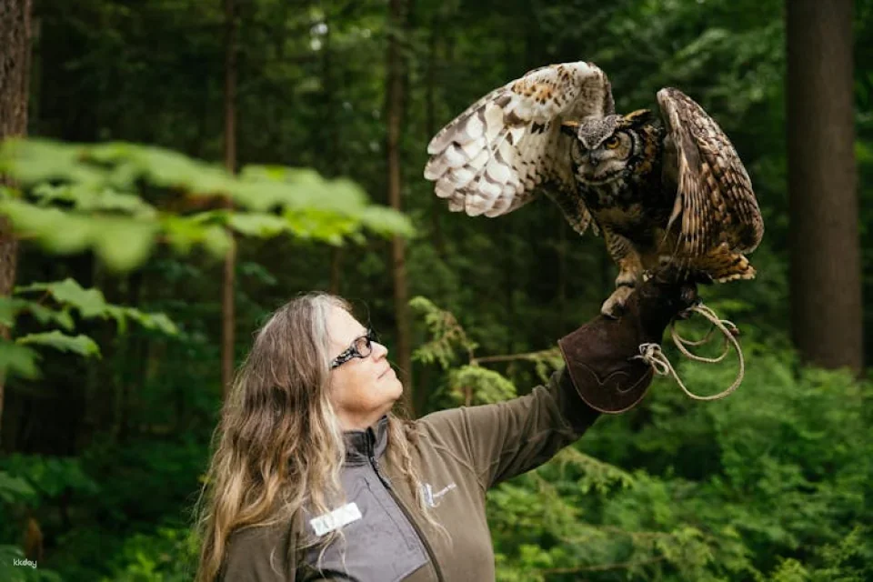 Capilano Suspension Bridge Park tickets