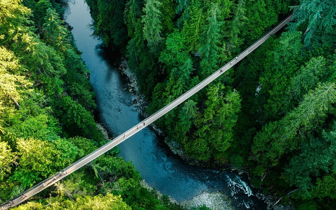 Capilano Suspension Bridge Park Tickets Image 2