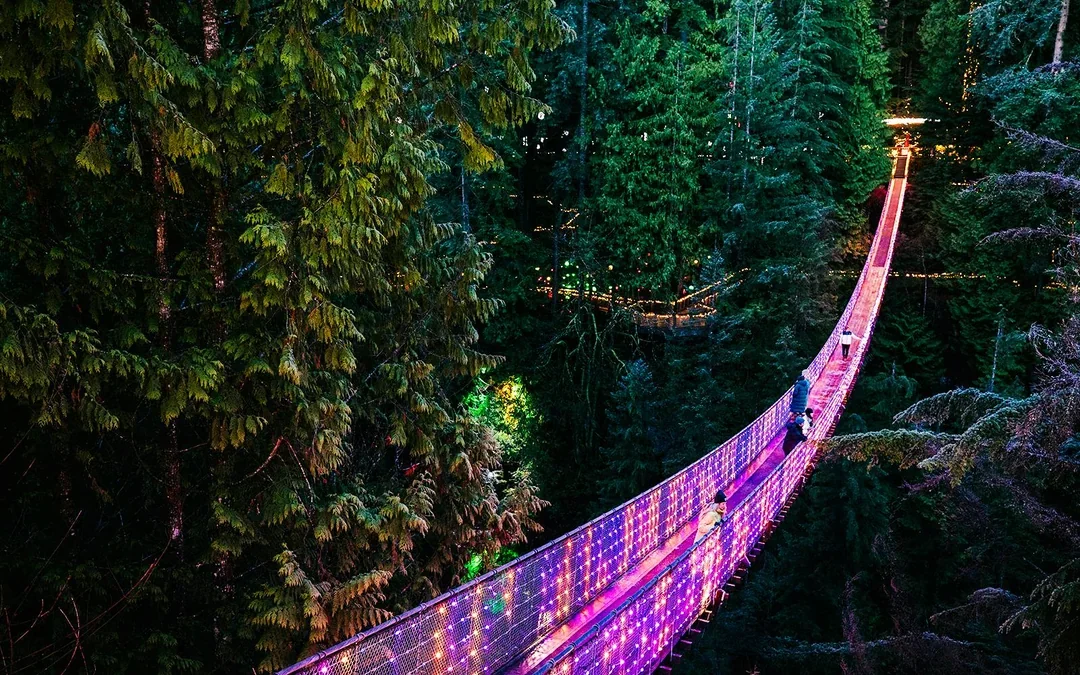 Capilano Suspension Bridge Park Tickets Image 12