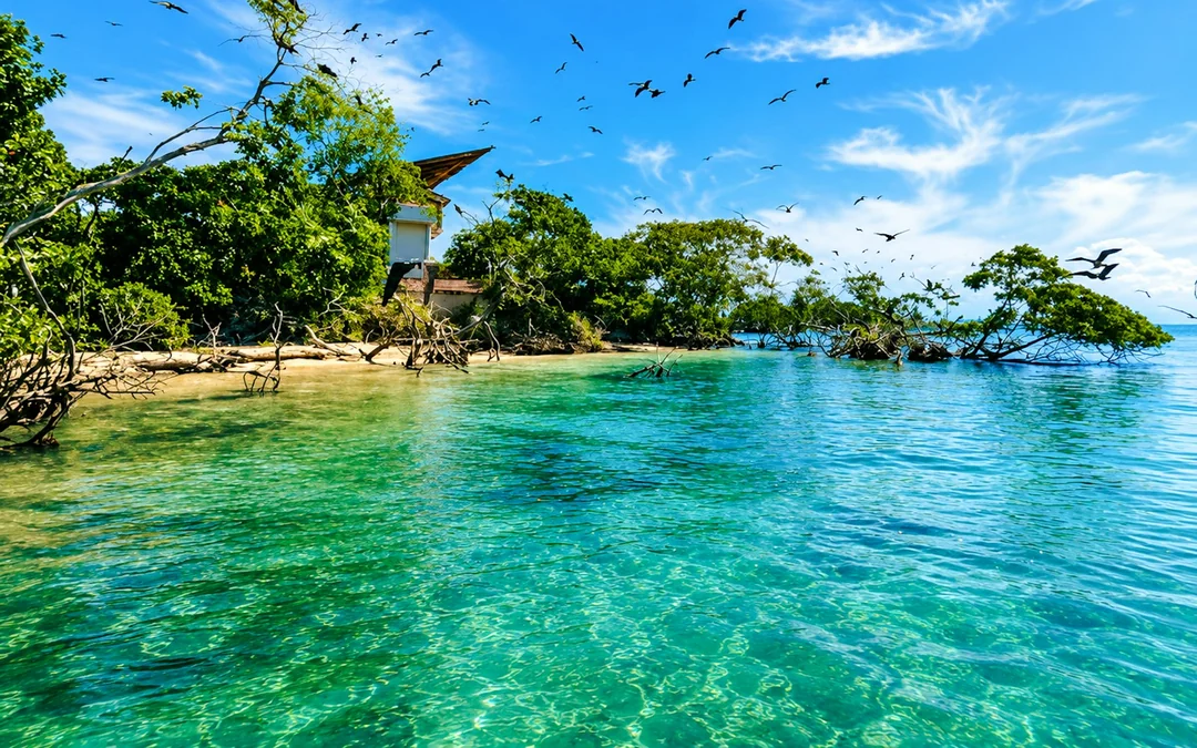 Cartagena: Excursión Islas del Rosario y Playa Blanca con Snorkel o Acuario Image 5