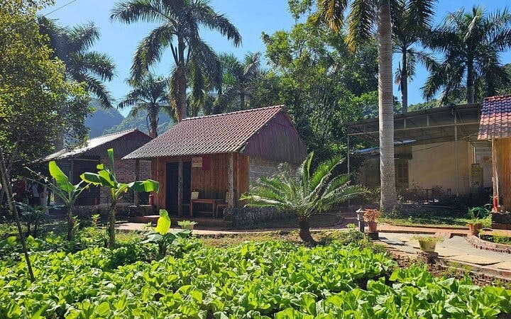 Cat Ba Navy Peak Trekking, Cycling, Bungalow Stay, and Lan Ha–Ha Long Bay Cruise with Meals Image 5