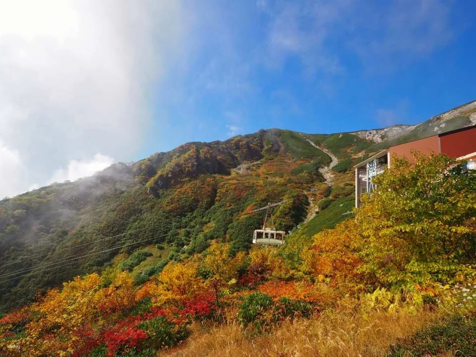 Central Alps Komagatake Ropeway Boarding Ticket | Official Retailer | Japan