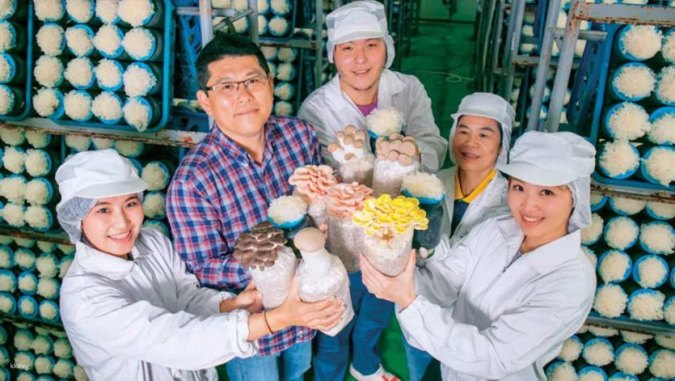 Changhua Magic Mushroom Tribe Leisure Farm Package