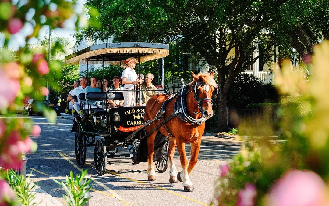 Charleston Historical Downtown Tour by Horse-drawn Carriage Image 1
