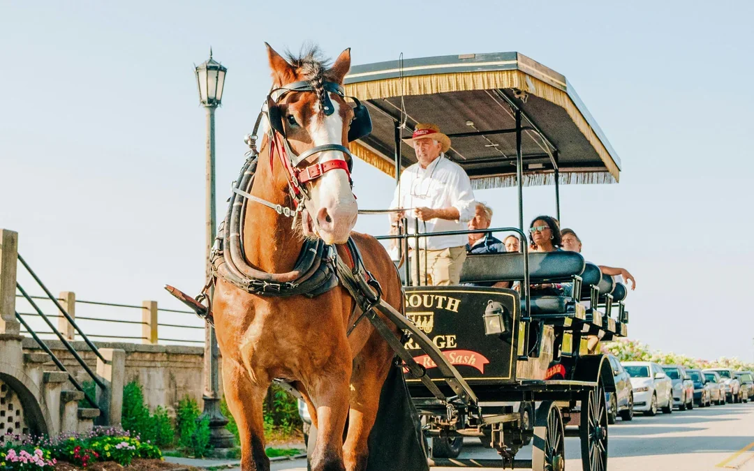 Charleston Historical Downtown Tour by Horse-drawn Carriage Image 4