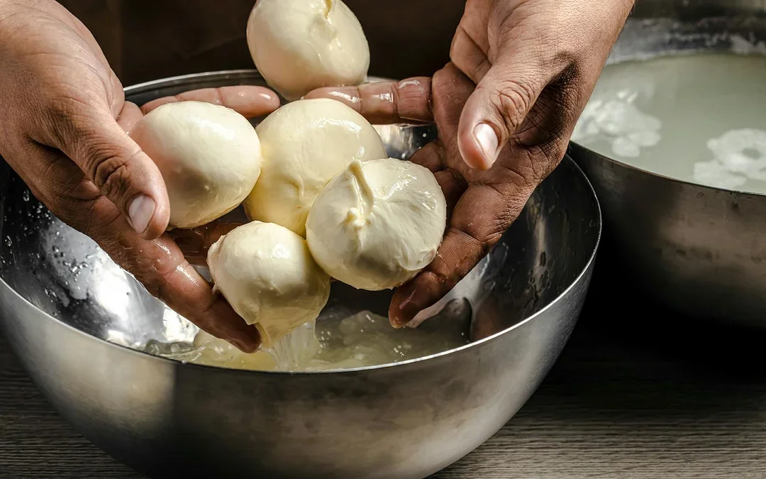 Cheesemaking Workshop with Tastings Image 1
