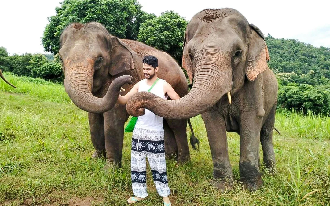 Chiang Mai Elephant Sanctuary, Waterfall Hike & Bamboo Rafting Image 11