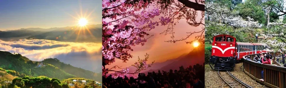 Chiayi Alishan FunPASS|Alishan x Sun Moon Lake Travel Package