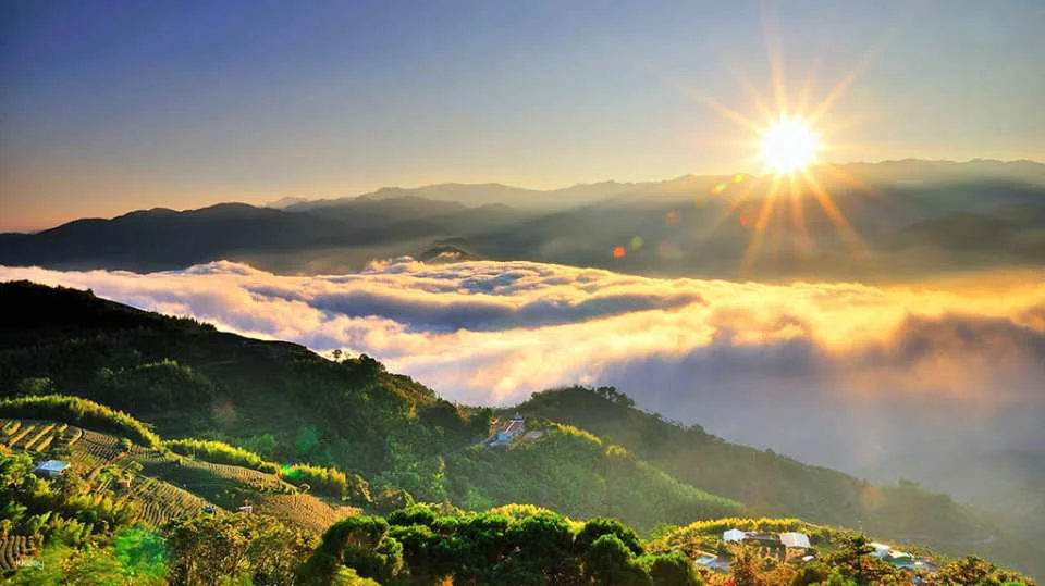 Chiayi Alishan National Forest Recreation Area Tickets & Packages