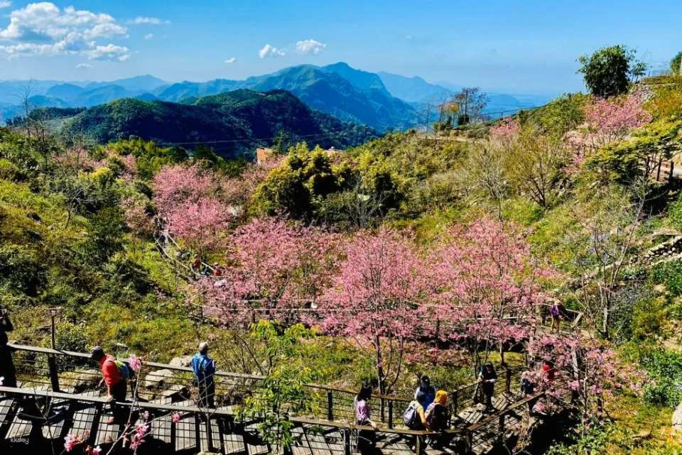 Chiayi Alishan National Forest Recreation Area Tickets & Packages