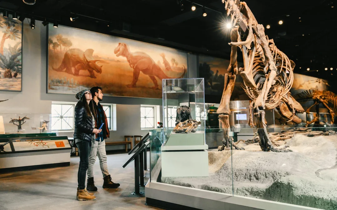 Chicago CityPASS®: Choose 3 or 5 Attractions Image 4