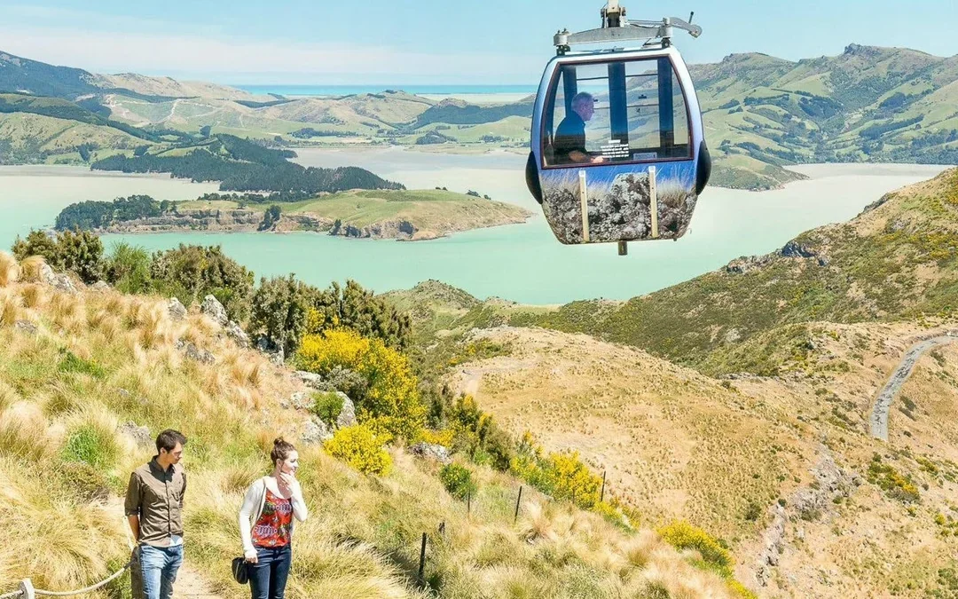 Christchurch Hop-On-Hop-Off Tram and Gondola Combo Pass Image 2