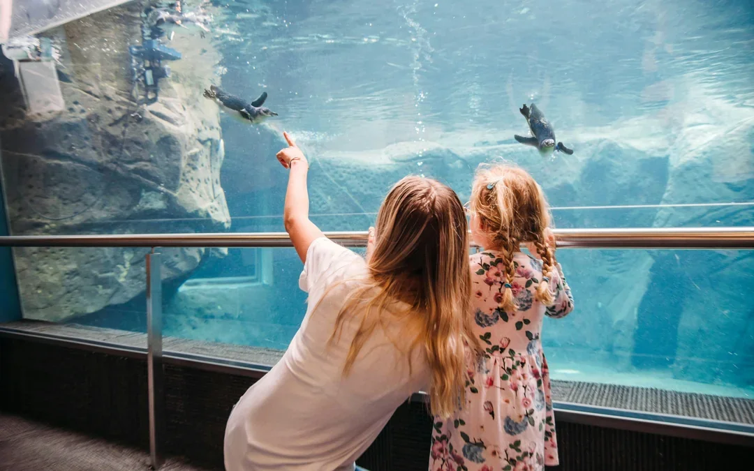 Christchurch International Antarctic Center Tickets Image 1