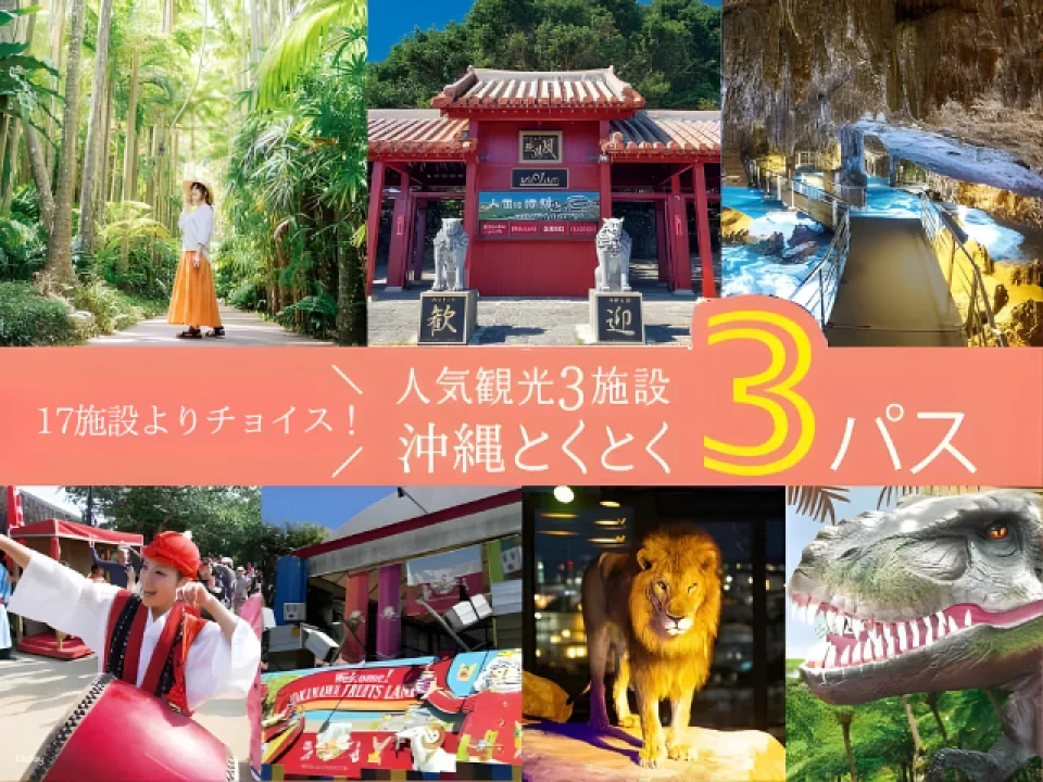 Okinawa | Churaumi Tokutoku 5 Pass / Okinawa Tokutoku 3 Pass | Instant Booking Confirmation