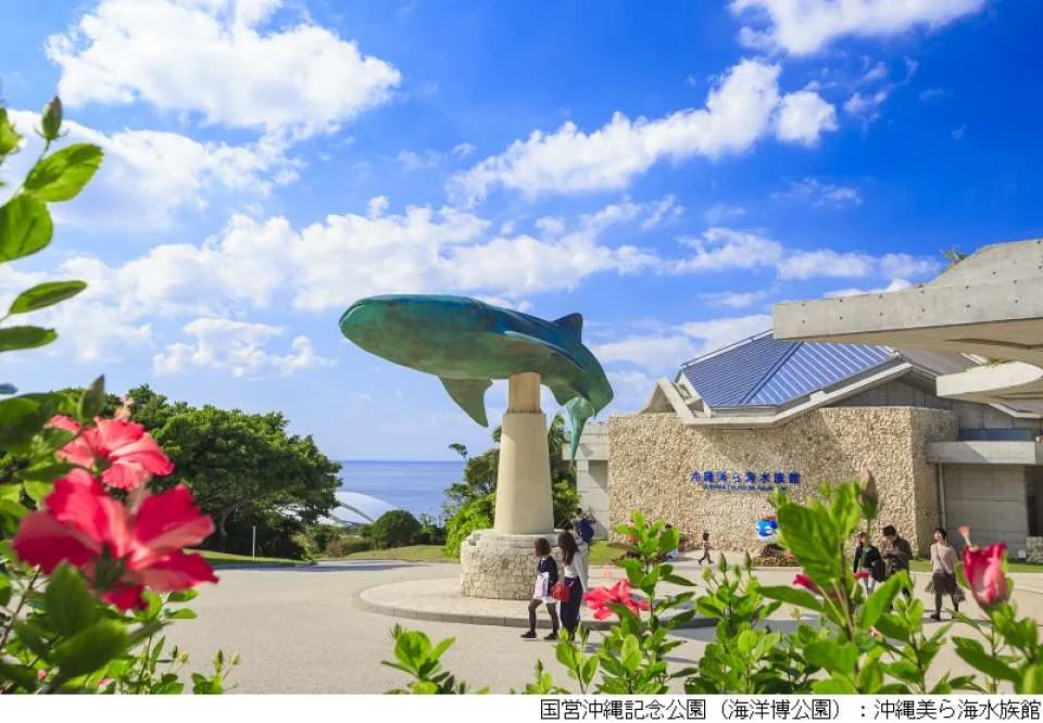 Okinawa | Churaumi Tokutoku 5 Pass / Okinawa Tokutoku 3 Pass | Instant Booking Confirmation