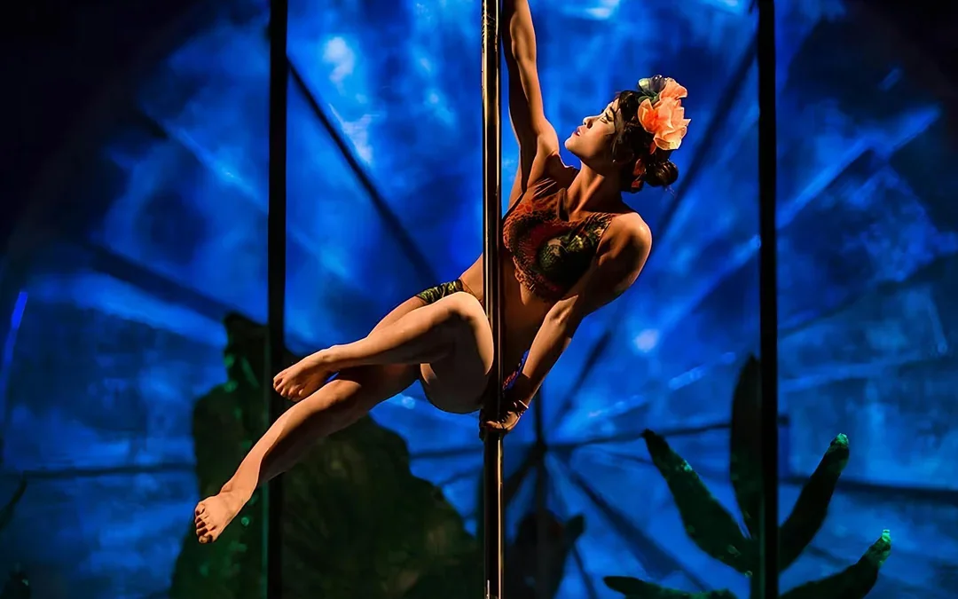 Cirque du Soleil Luzia: Vancouver Image 5