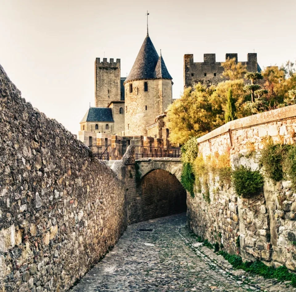 Cité de Carcassonne Entry Ticket