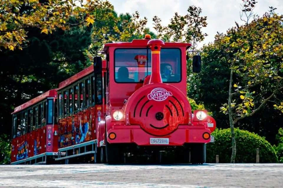 City Sightseeing 24-hour hop-on hop-off bus tour in Santander