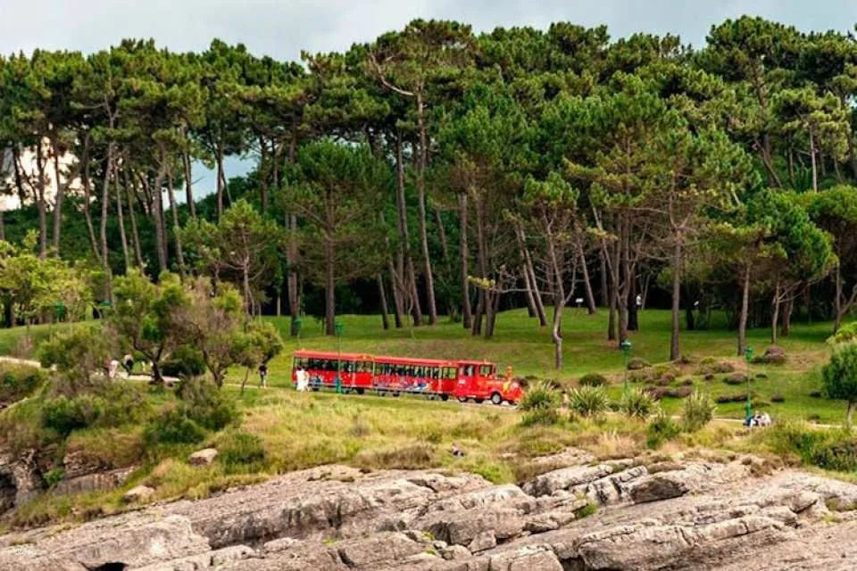 City Sightseeing 24-hour hop-on hop-off bus tour in Santander