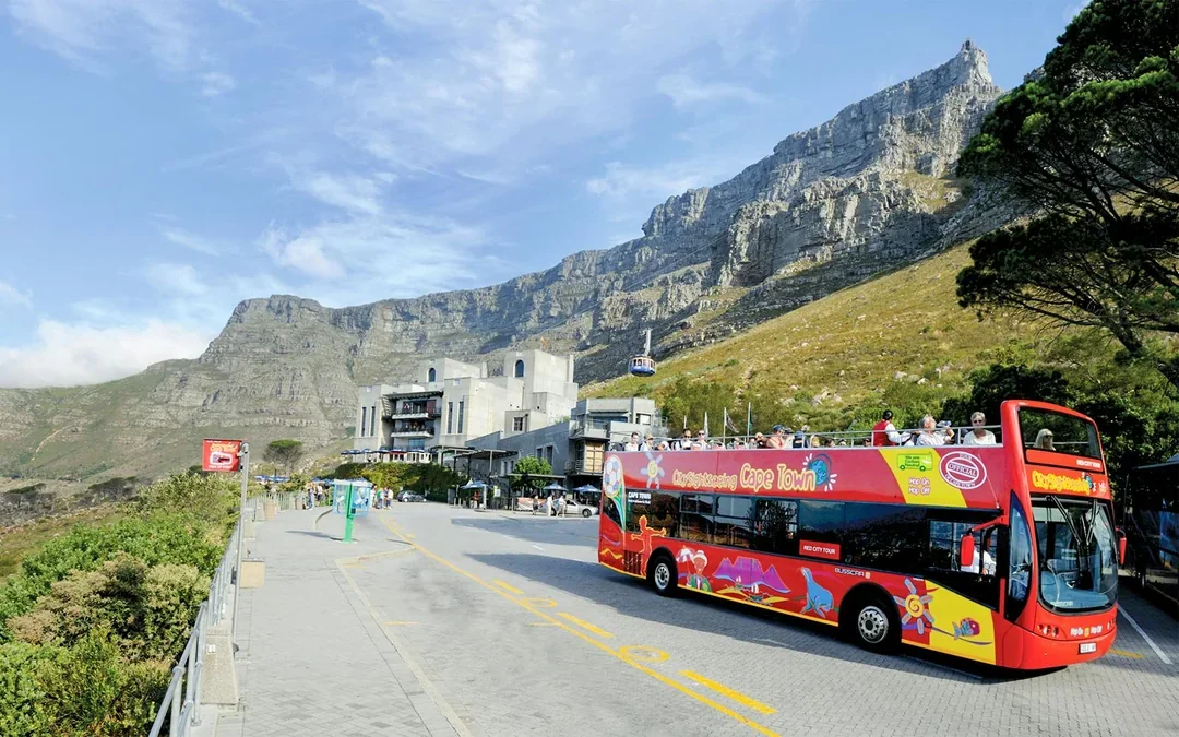 City Sightseeing: Cape Town Hop-on Hop-off Bus Tour Image 3