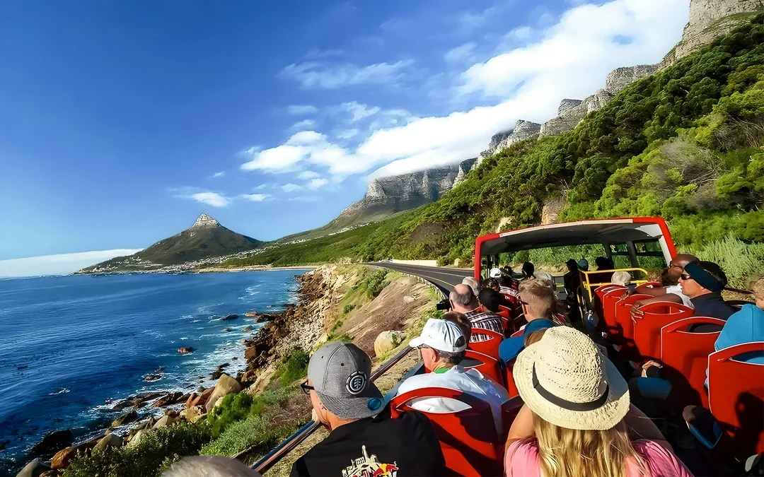 City Sightseeing: Cape Town Hop-on Hop-off Bus Tour Image 4