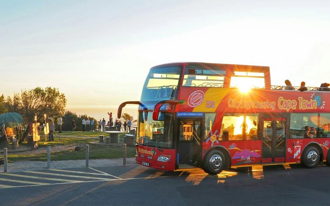 City Sightseeing: Cape Town Hop-on Hop-off Bus Tour Image 5