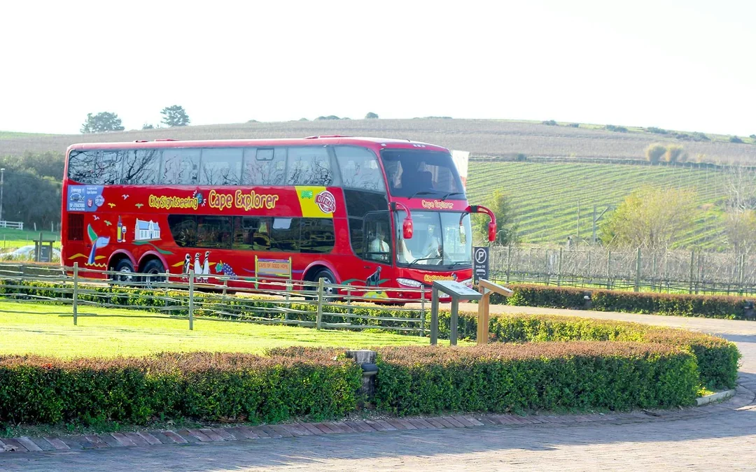 City Sightseeing: Cape Town Hop-on Hop-off Bus Tour Image 8