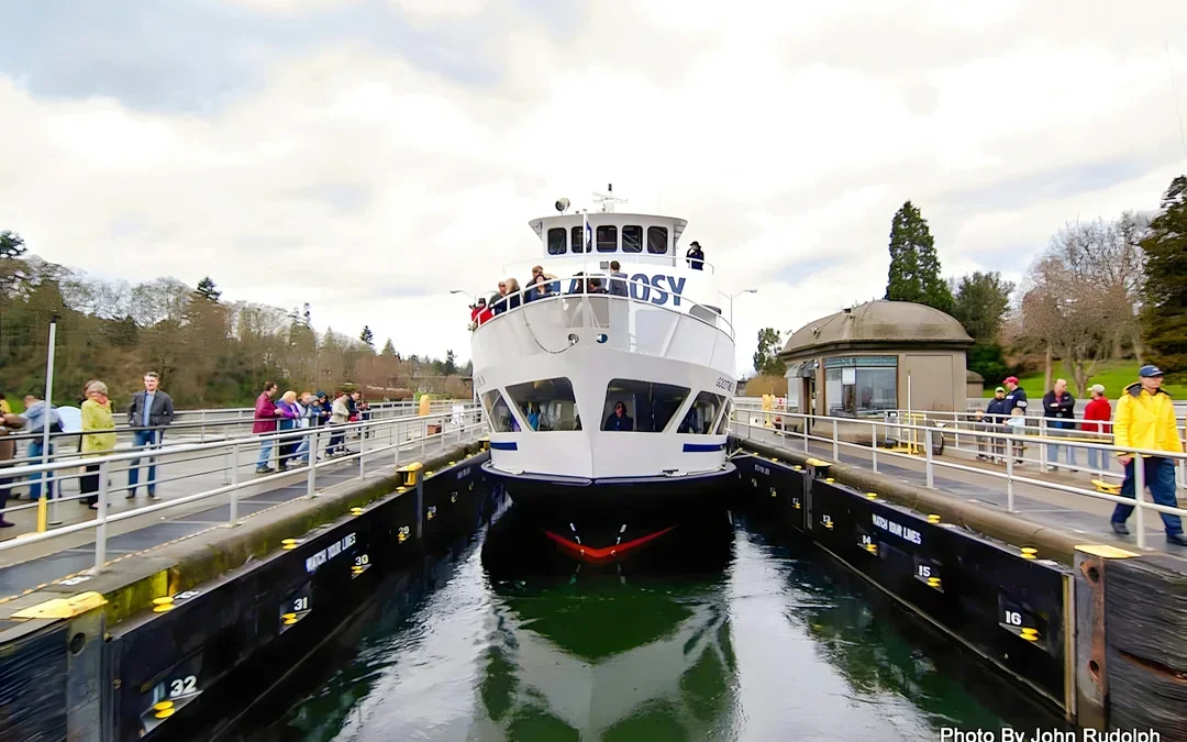 City Sightseeing: Seattle Hop-on Hop-off Bus Tour with One-way Ballard Locks Cruise Image 5