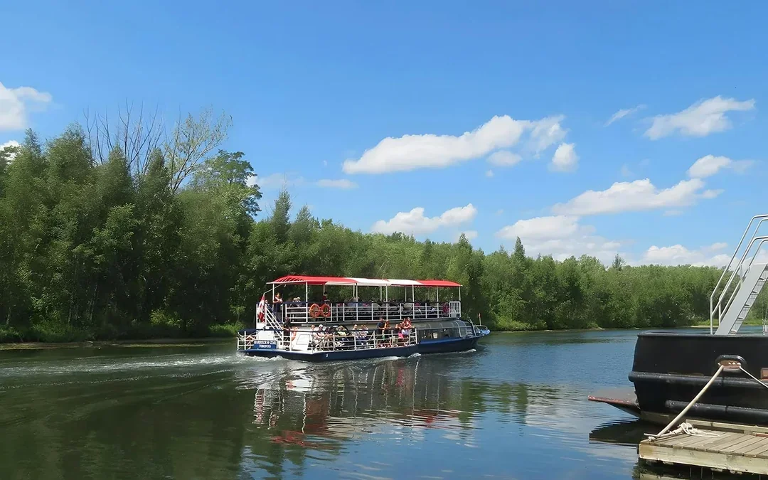 City Sightseeing Toronto 45-Minute Harbour and Islands Cruise with Live Guide Image 1