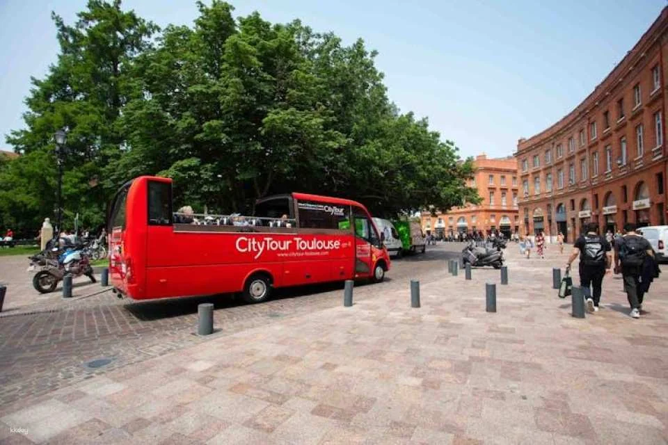 Citytour of Toulouse in panoramic minibus