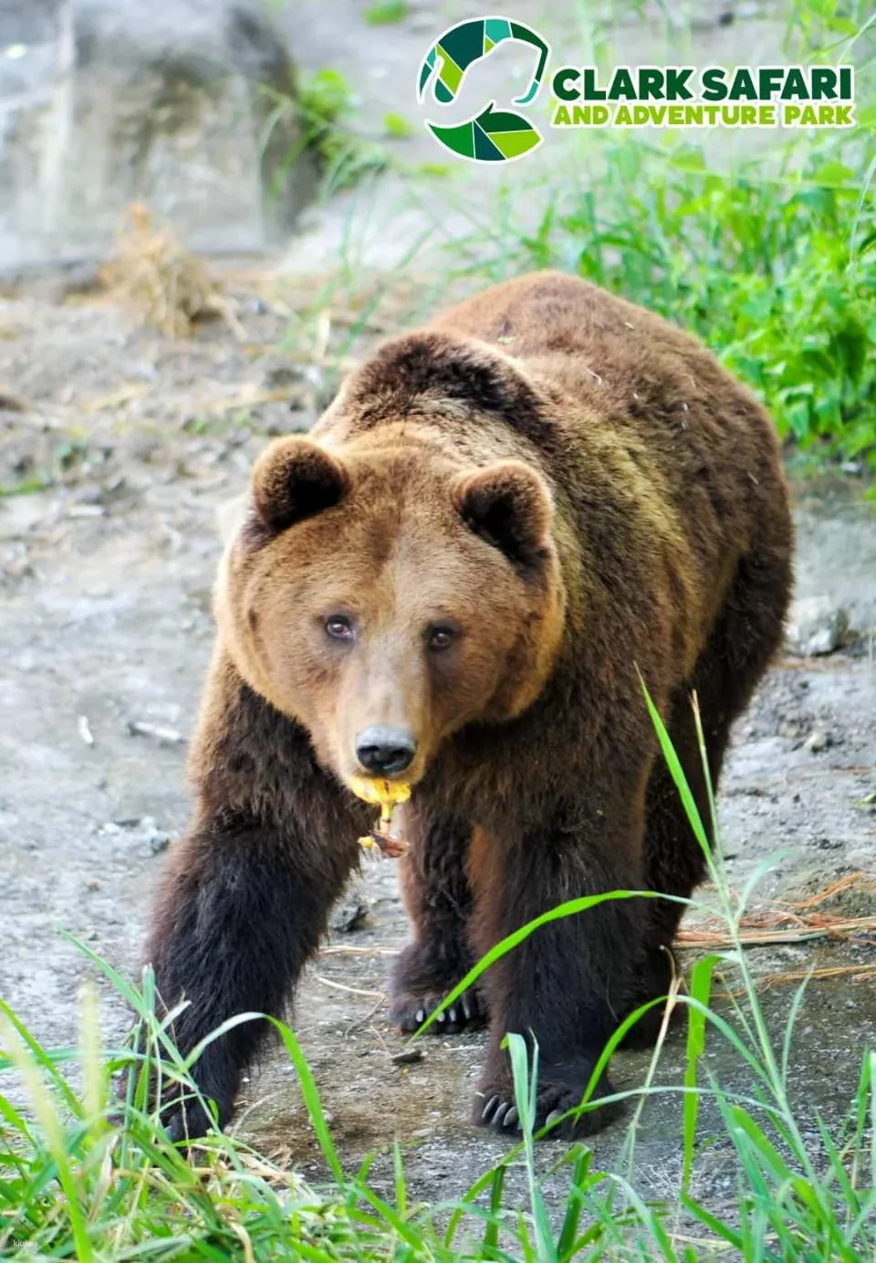 Clark Safari and Adventure Park Ticket | Philippines