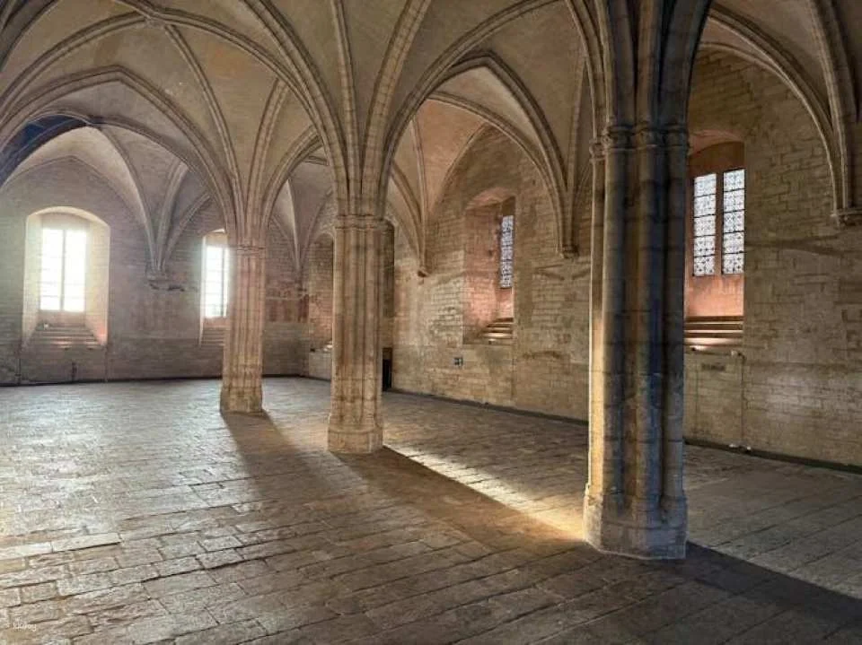 Combined entrance tickets for Palais des Papes and Pont d'Avignon