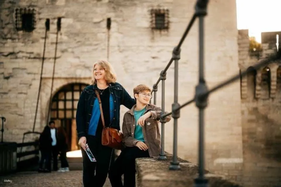 Combined entrance tickets for Palais des Papes and Pont d'Avignon